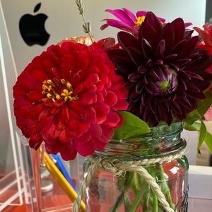 Meet your Posher, Maya